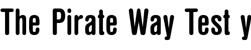 Font : NimbusSanDBolConRo1 Custom Text : The Pirate Way Test your own text here Click to download or to view this font on a tshirt that can be custom printed in Bali