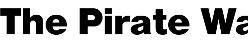 Font : NimbusSanNo5TBol Custom Text : The Pirate Way Test your own text here Click to download or to view this font on a tshirt that can be custom printed in Bali