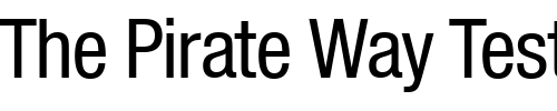 Font : NimbusSanNovDMedCon Custom Text : The Pirate Way Test your own text here Click to download or to view this font on a tshirt that can be custom printed in Bali