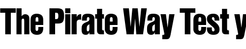 Font : NimbusSanPEEBlaCon Custom Text : The Pirate Way Test your own text here Click to download or to view this font on a tshirt that can be custom printed in Bali