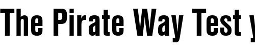 Font : NimbusSanTCon-Bold Custom Text : The Pirate Way Test your own text here Click to download or to view this font on a tshirt that can be custom printed in Bali