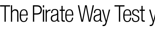 Font : Nimbus_Sans_Becker_PLigCon Custom Text : The Pirate Way Test your own text here Click to download or to view this font on a tshirt that can be custom printed in Bali