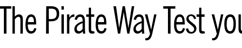 Font : NobbiGConDB-Normal Custom Text : The Pirate Way Test your own text here Click to download or to view this font on a tshirt that can be custom printed in Bali