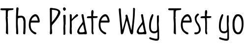 Font : Noovo-ITC-Light Custom Text : The Pirate Way Test your own text here Click to download or to view this font on a tshirt that can be custom printed in Bali