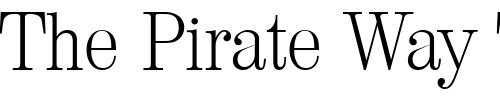 Font : NormanBecker-ExtraLight Custom Text : The Pirate Way Test your own text here Click to download or to view this font on a tshirt that can be custom printed in Bali