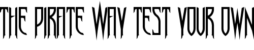Font : Nosferotica Custom Text : The Pirate Way Test your own text here Click to download or to view this font on a tshirt that can be custom printed in Bali