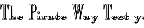 Font : NurfStar--Shaded Custom Text : The Pirate Way Test your own text here Click to download or to view this font on a tshirt that can be custom printed in Bali