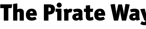Font : OfficinaSanBlkOSITCTT Custom Text : The Pirate Way Test your own text here Click to download or to view this font on a tshirt that can be custom printed in Bali