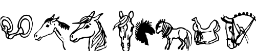 Font : horsedings Custom Text : The Pirate Way Test your own text here Click to download or to view this font on a tshirt that can be custom printed in Bali
