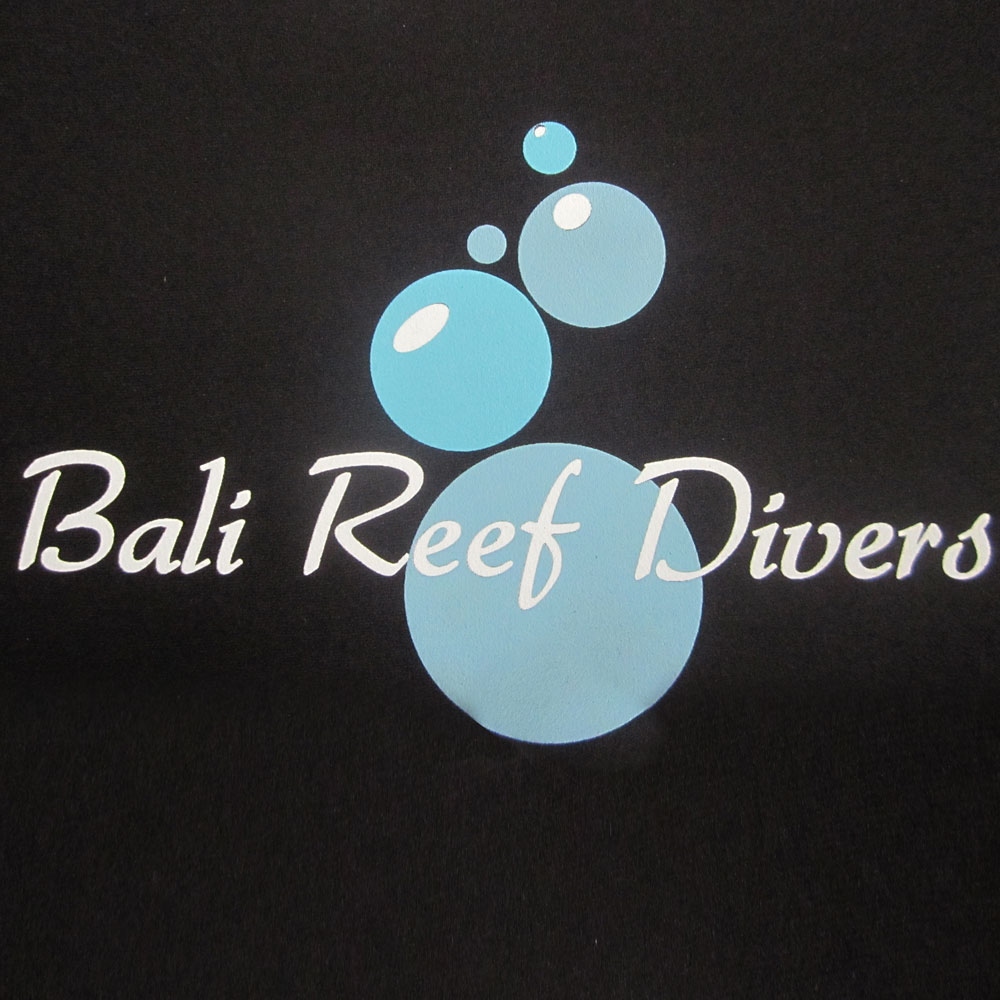 bali reef divers