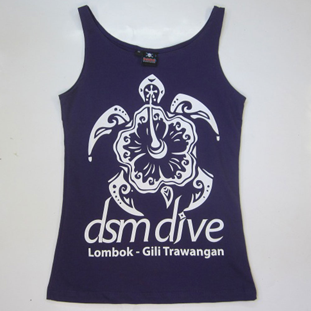 dsm dive turtle
